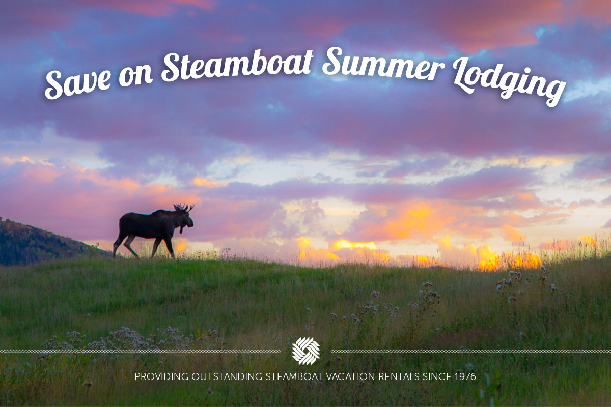 Summer in Steamboat Springs!