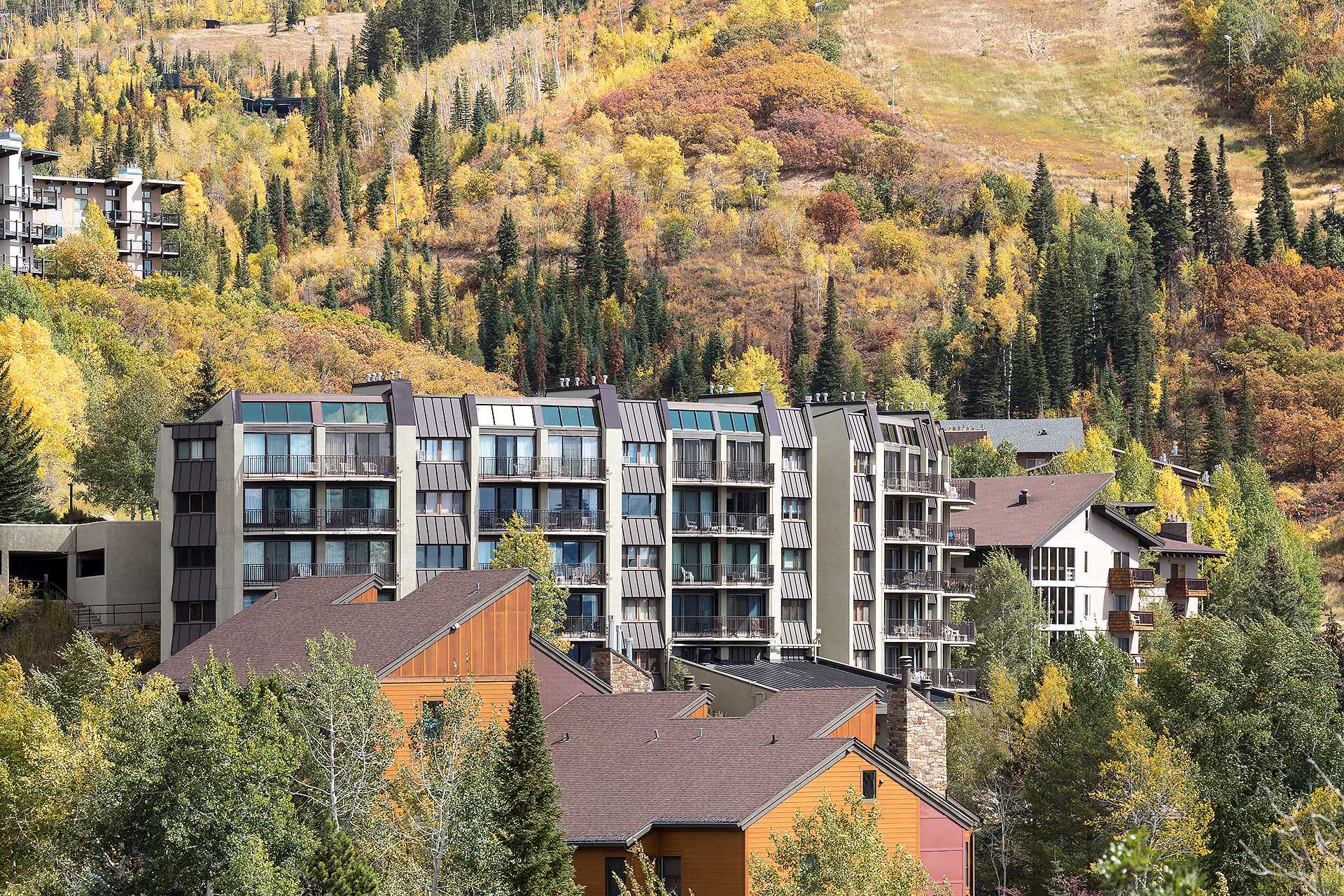 BT402: Bronze Tree Condominiums