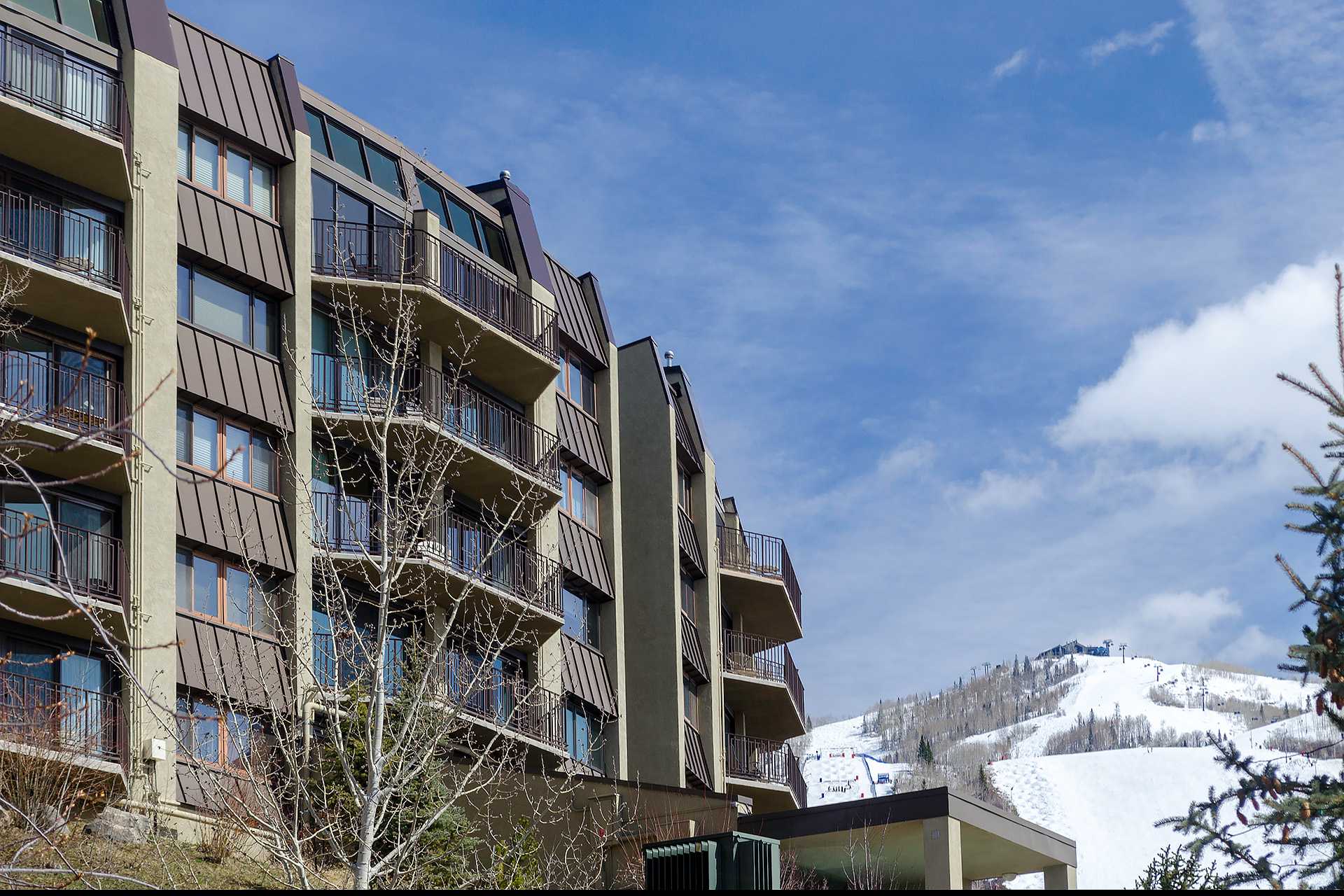 BT402: Bronze Tree Condominiums