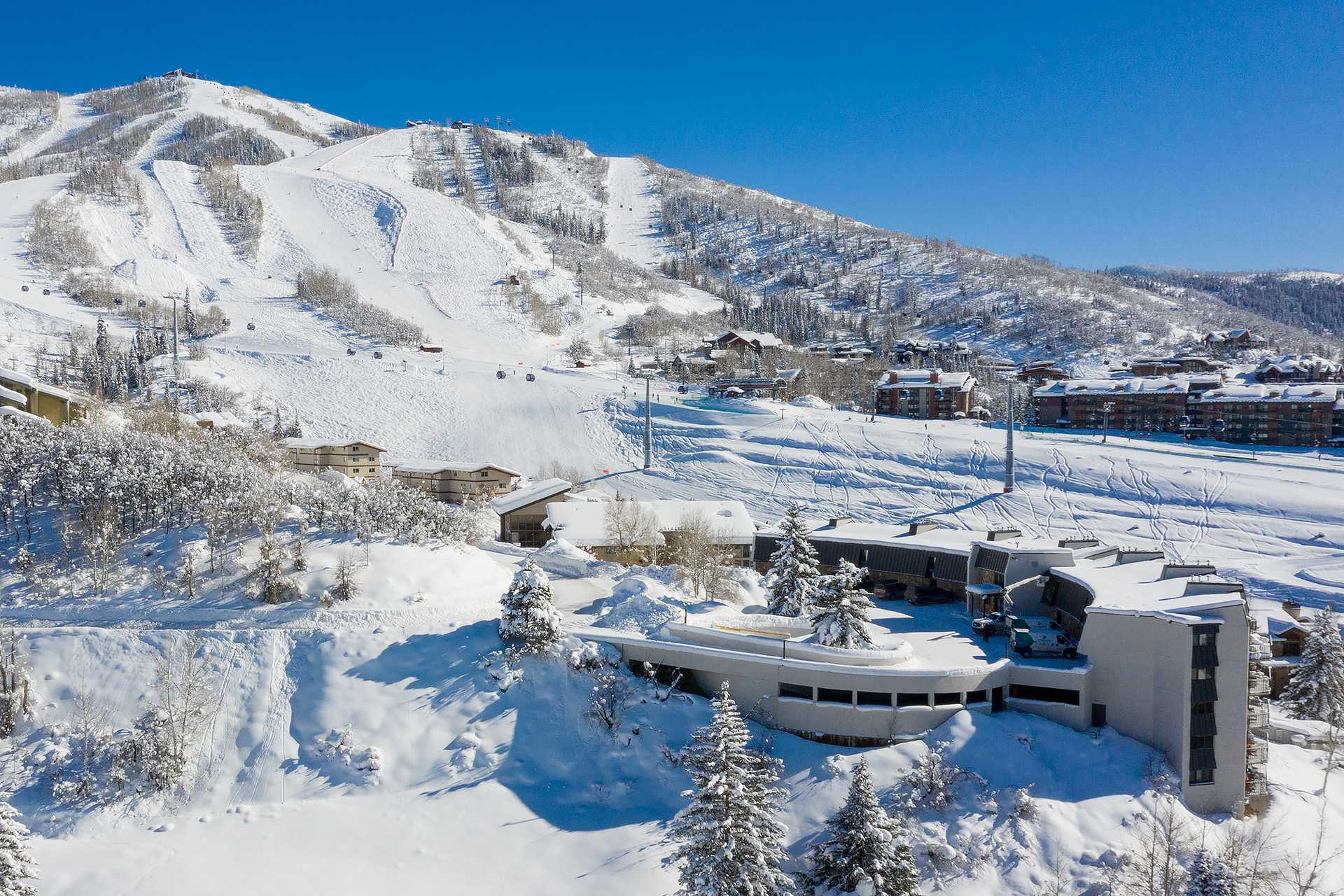 BT402: Bronze Tree Condominiums