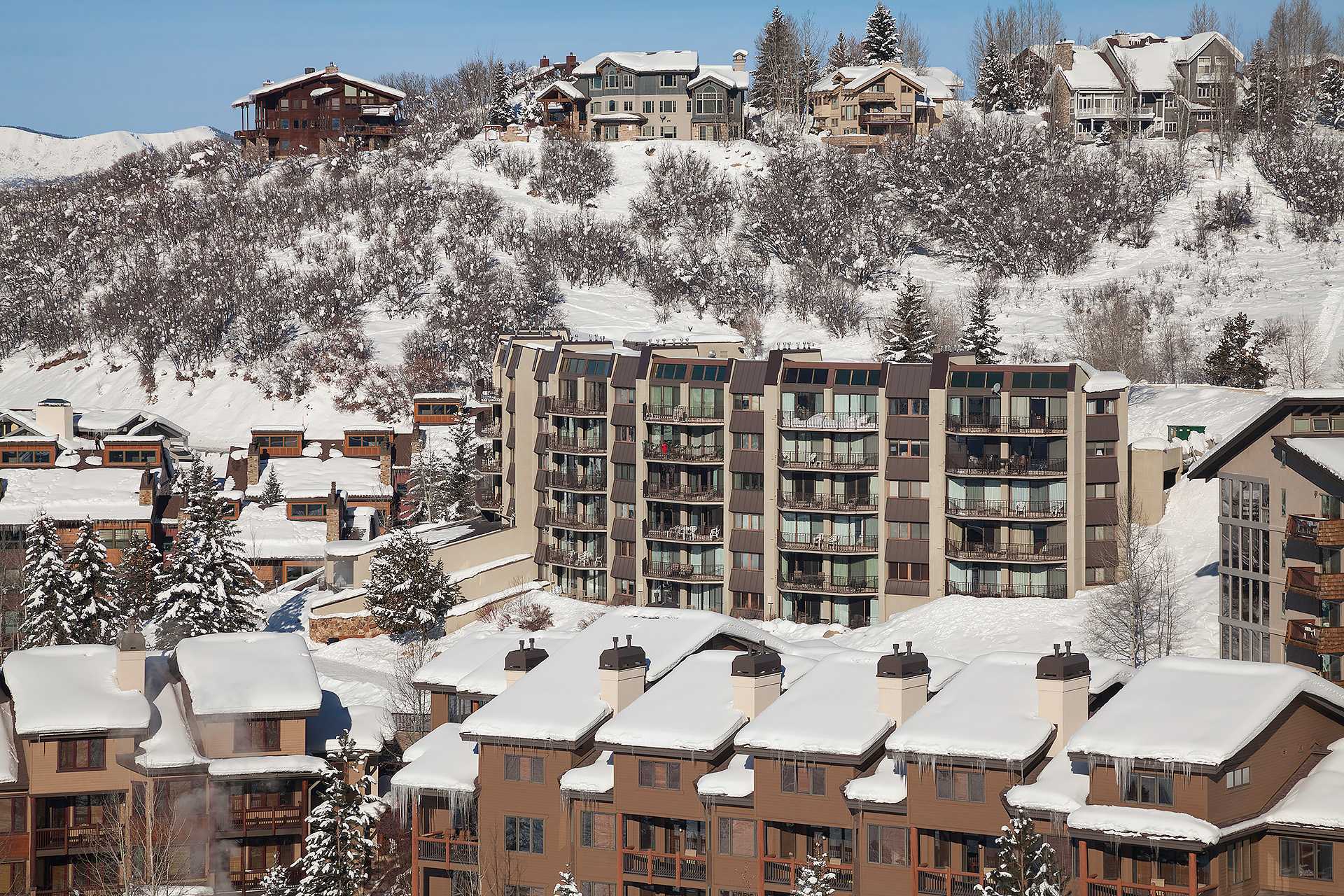 BT402: Bronze Tree Condominiums